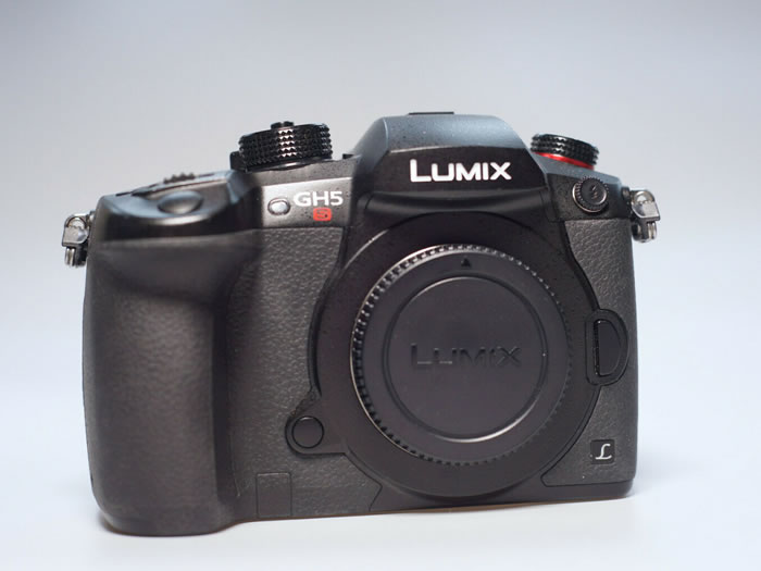 Panasonic Lumix GH5s Camera